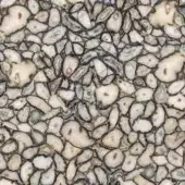 Stone texture pale cream with dark blue-gray lines, featuring irregular slices and mottled patterns, resembling polished agate mineral composition.