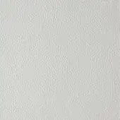 Light gray leather texture sample, “reflex titanium,” displays a matte finish with fine grain and subtle sheen, consistent color tone.