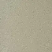 Light beige full-grain leather texture displaying a dense, natural grain pattern and subtle sheen, with consistent pores and a smooth surface.
