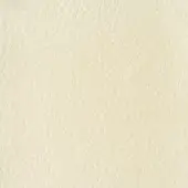Creamy off-white texture sample displaying a dense, fibrous, mottled surface with irregular lines and subtle tonal variations.