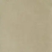 Nubuck leather texture sample in tortora, displaying a dense, granular surface with warm beige tonal variations and a consistent matte finish.