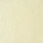 Cream leather texture sample, pebble-grain, matte finish, natural leather aesthetic, identified as “reflex > leather > naturale > n205 panna”.