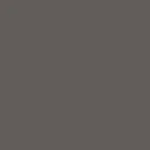 Matte gray lacquered wood surface, smooth and uniform, displaying a cool tone with subtle undertones in a minimalist composition.