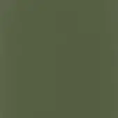 Roberti rattan finish sample, forest green, matte texture with subtle granular detail and faint linear markings.
