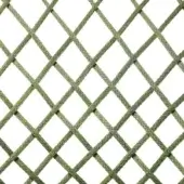 Green mix rope texture with a braided diamond pattern, showcasing variegated green and yellow tones on a dense, woven grid against a white background.