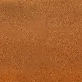 Polyskin fabric texture, golden-brown, repeating granular pattern; matte finish, durable synthetic material from Royal Botania collection.