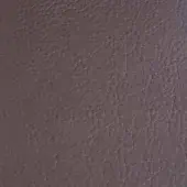 Rugiano leather texture, dark brown, matte finish with subtle wrinkles and a natural grain pattern, indoor leather sample S5006.