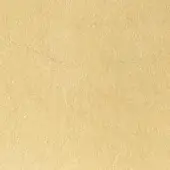 Beige textured rug with mottled surface, granular texture, and tonal variations, displaying a natural material composition in even lighting.