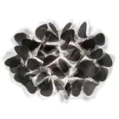 Slamp Clizia Mama Non Mama wall lamp, black translucent petals, radiating floral layered design with smoky gray gradient.