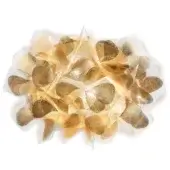 Slamp Clizia Mama Non Mama wall lamp, gold textured center, translucent frosted petals, asymmetrical floral shape, studio lighting.