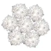 Slamp Veli Bottom Prisma pendant lights, translucent silver molded plastic, layered petal-like design in clustered studio arrangement.