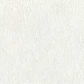 Off-white seamless texture displaying a dense, irregular aggregate pattern with a matte finish and consistent, subtly rough surface.