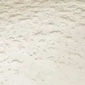Champagne stucco texture with mottled pattern, glossy sheen, and irregular raised surface displaying tonal variations in a studio setting.