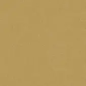 C118 - Plain Ochre