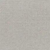 C20 - Mambo Canvas