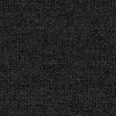 C41 - Black