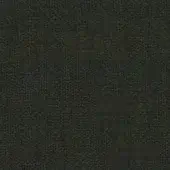 Dark green polypropylene fabric texture, dense granular weave, muted forest tone, uniform compact surface, studio sample c72.