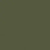 Olive-green monochromatic background with a matte texture and subtle grain, presenting a uniform, solid color field with no distinct elements.