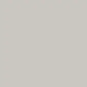 Solid gray surface, matte finish, consistent neutral tone, even lighting, minimalist composition, uniform color, flat plane, diffused illumination.