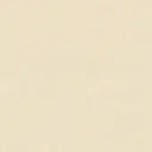 Pale beige solid color background, uniform tone, flat lighting, seamless studio backdrop, neutral surface, consistent shade, sample material.