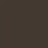 Dark brown monochromatic composition, smooth matte surface, uniform tone, consistent color field, no patterns or objects visible within the frame.