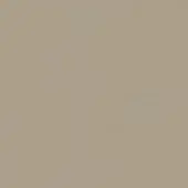 Muted gray color swatch, matte finish, labeled “steel a13” in sans-serif font, uniform surface, neutral warm tone, seamless light gray background.