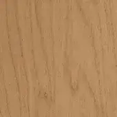 Wood texture sample, light brown with vertical grain, matte finish, displaying knots; labeled “talenti > all samples > wood > l2”.