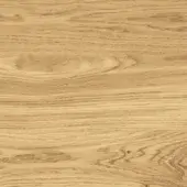 Light beige wood texture with linear grain, knot details, and matte finish; digitally rendered hardwood sample labeled “talenti > all samples > wood > l9.”