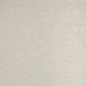 Tonelli Design fabric sample, off-white woven texture, granular surface with sheen, consistent pattern, diffused lighting.