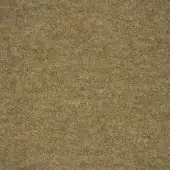 Olive-green textured fabric sample displaying a dense, granular surface with short fibers and subtle tonal variations; label reads "tonelli design b005".