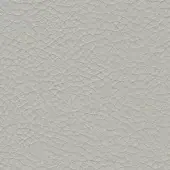 Light gray cracked leather texture with irregular fissures creating a dense, undulating pattern and a matte, slightly rough surface.