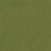 Varaschin fabric swatch, muted olive green “abacosalvia” (C479 Abaco), dense tight weave with matte granular texture, even diffused lighting.