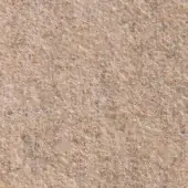Beige woven textile texture with a granular surface and randomly oriented fibers, appearing matte and durable, likely wool or a wool blend.