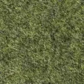 Olive green verzelloni fabric texture with a dense, felt-like weave and uniform, mottled surface in a studio setting.