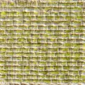 Woven fabric texture, beige and green grid pattern, matte finish with nubby threads, displaying “verzelloni steven 16019” text.
