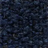 Navy blue looped fabric texture with nubby surface and scattered cream strands, displaying an irregular organic structure; verzelloni calvin 22029.