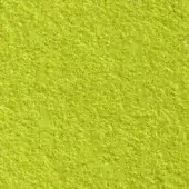 Light green fibrous texture with subtle tonal variations and a dense pattern of fine lines, resembling woven fabric or paper material.