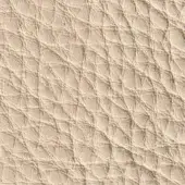 Cream crocodile-effect leather texture, “pelleextra 321” by Verzelloni, displays raised linear ridges and rounded nodes in a warm beige tone.