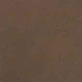 Matte brown texture displaying a granular surface, uniform earthy tone, and slight tonal variations suggesting a dense, porous organic material.