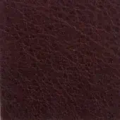 Dark brown leather texture displaying a fine grain pattern, matte finish, and subtle tonal variations; sample labeled “austin 16034”.