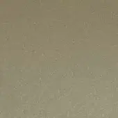 Granular texture in warm gray-beige, matte finish with subtle tonal variations and an organic, diffused pattern, evenly lit.
