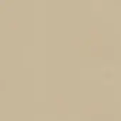 Light beige color swatch, matte finish, soft gradient, uniform surface, studio shot, neutral tone, consistent background, color sample.