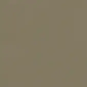 Solid olive-green color field, matte finish, even lighting, uniform tone, smooth surface, no texture, consistent hue, diffuse illumination.