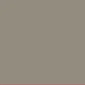 Neutral taupe color swatch against a red bar, matte finish, minimalist composition displaying “tortora (g)” hue for color sample reference.