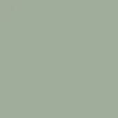 Desaturated green color field, matte finish, consistent “verde quarzo (g)” tone, uniform surface, neutral background for design applications.