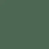 Solid verde salvia color field, matte finish, uniform tone, consistent hue, even lighting, flat appearance, simple composition, muted green.