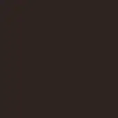Dark brown solid color background, smooth matte surface, consistent tone, deep saturated hue resembling chocolate, uniform composition.