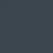 Solid dark blue-gray color field, matte finish, uniform tone, flat appearance, no texture or pattern, simple composition, consistent hue.