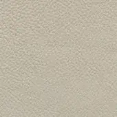 Light beige leather texture with a dense, pebbled grain; smooth, consistent surface with subtle tonal variations for a natural look.