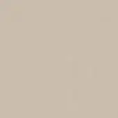 Beige leather texture with subtle granular pattern and tonal variations, displaying a smooth matte finish and natural graining.